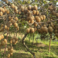 बङ्गलादेशमा सौर्य ऊर्जा संयन्त्र निर्माणका लागि एडीबी र एमएसईएलबिच सम्झौता